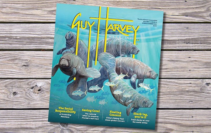 Guy Harvey Spring Edition