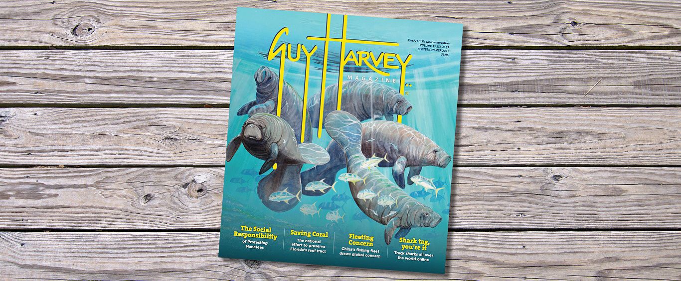 Guy Harvey Spring Edition